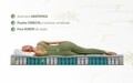 Saltea Aloe Vera Memory Pocket 7 zone, Husa Aloe Vera, Super Ortopedica, Anatomica, 180x190x19 cm