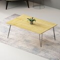 Masuta de cafea Esca, Pakoworld, 90x50x40.5 cm, PAL melaminat, oak/negru