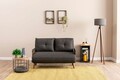 Canapea extensibilă cu 2 locuri, Futon, 859FTN2724, Metal , Gri inchis