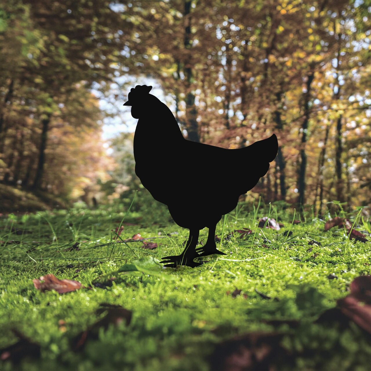 Obiect decorativ de grădină, Chicken 01, 64x42 cm, Negru - view 2