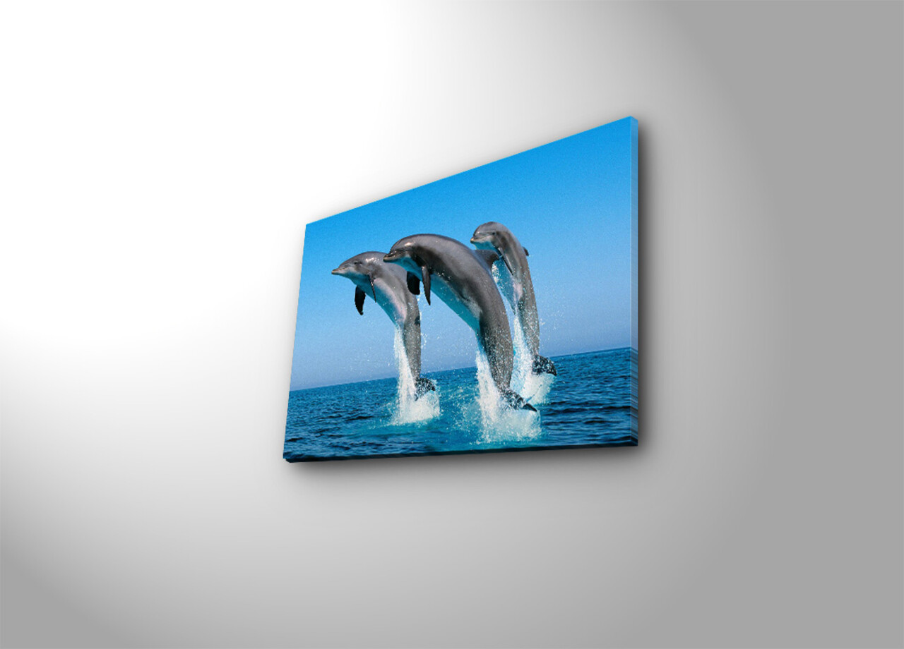 Tablou decorativ, 3040C-28, Dimensiune: 28 x 38 cm, Multicolor - view 2