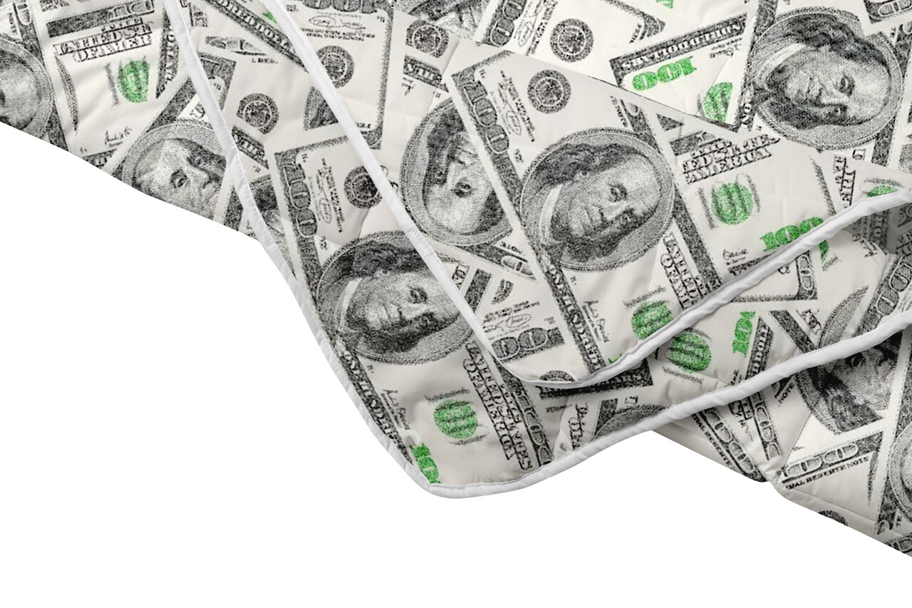 Pilota Dollar Dream, microfibra matlasata, 140x200 cm, 250g/mp - imagine 4