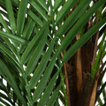Planta artificiala Tropical Zone, Homla, 15x13 cm / 150 cm, plastic, verde