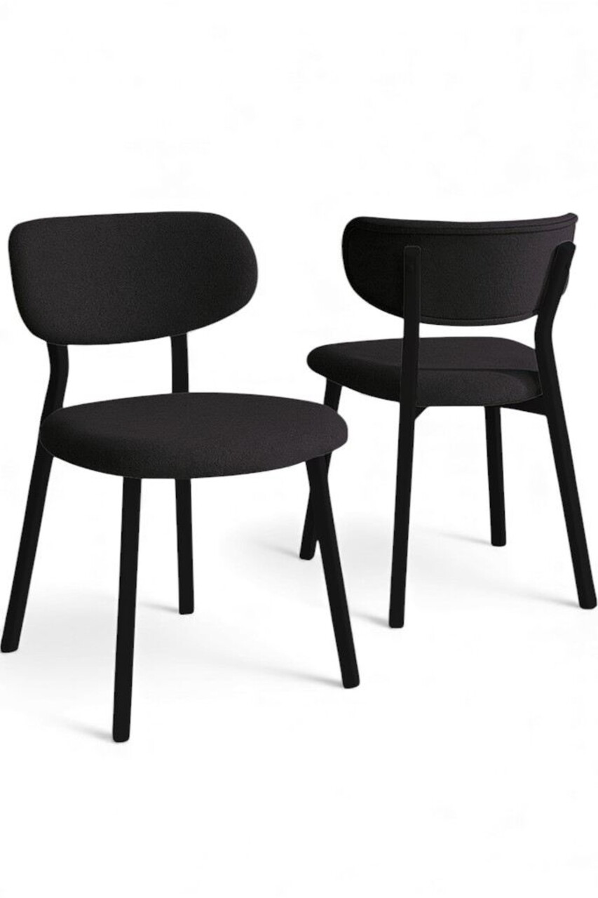 Set scaune 2 piese, Hanah Home, Toldy, Antracit / Negru - view 2