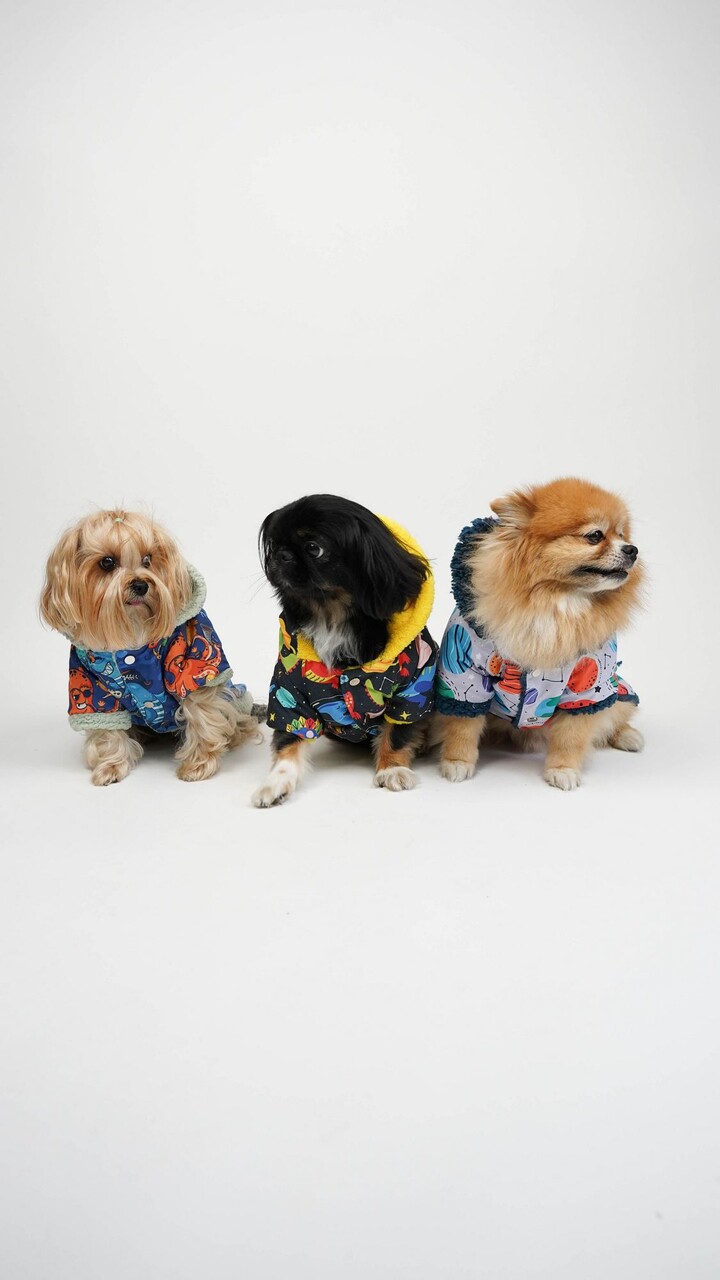 Hanorac pentru câini, Paws &amp; Whiskers, Cosmic Raincoat, Multicolor - view 5