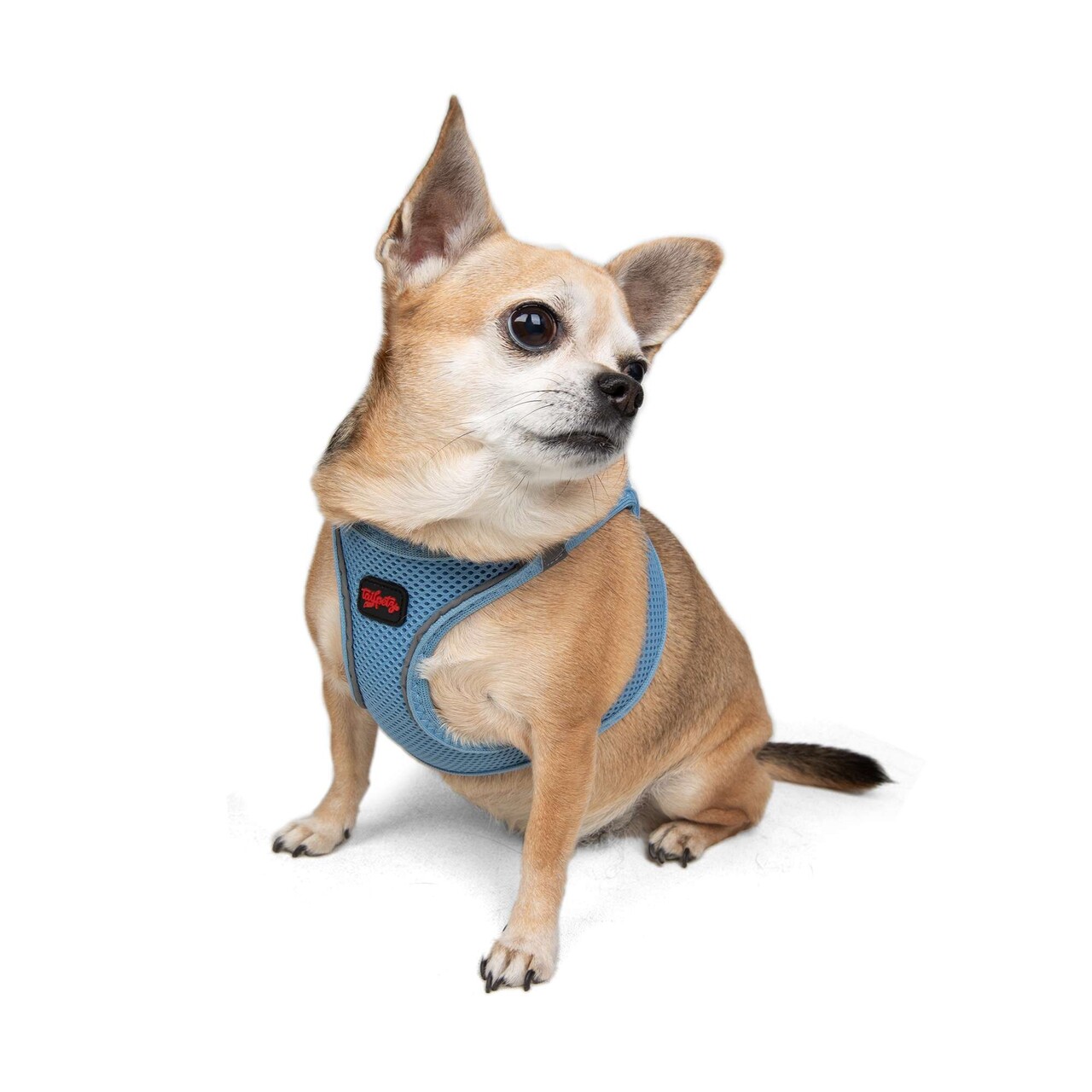 Ham pentru câini, Paws &amp; Whiskers, Air-Mesh, Albastru - view 2