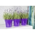 Ghiveci Classic 18 cm, plastic, verde deschis