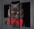 Set 3 tablouri decorative, UC57, Canvas, 45 x 20 cm, Multicolor