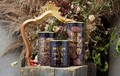 Recipient cu capac Casa Dorado, Tognana Dolce, 1.38 L, sticla, gri/auriu
