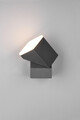 Aplica de perete pentru exterior Avon, TRIO, 9x10.5x16 cm, 7W, 1x SMD, aluminiu turnat/plastic, antracit