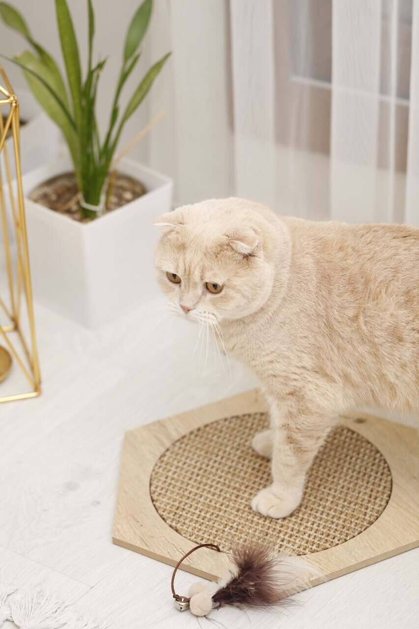 Covoras de zgariat pentru pisici, Paws &amp; Whiskers, Altıgen 30- Beige, MDF, Bej - 2