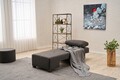 Fotoliu extensibil, Balcab Home, 825BLC4715, Lemn, Antracit