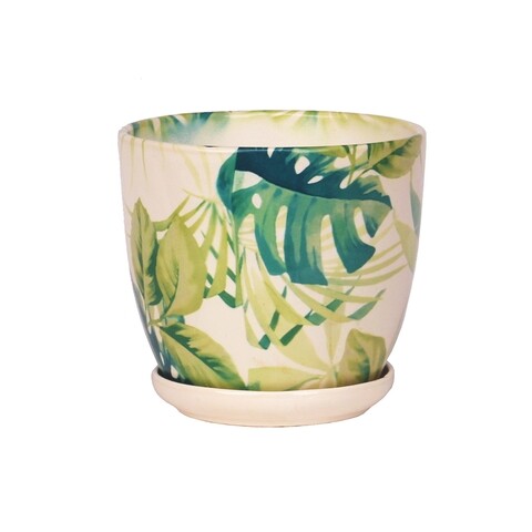 Ghiveci cu farfurie Wenus, Ficus, ceramica, 20 cm, alb/verde
