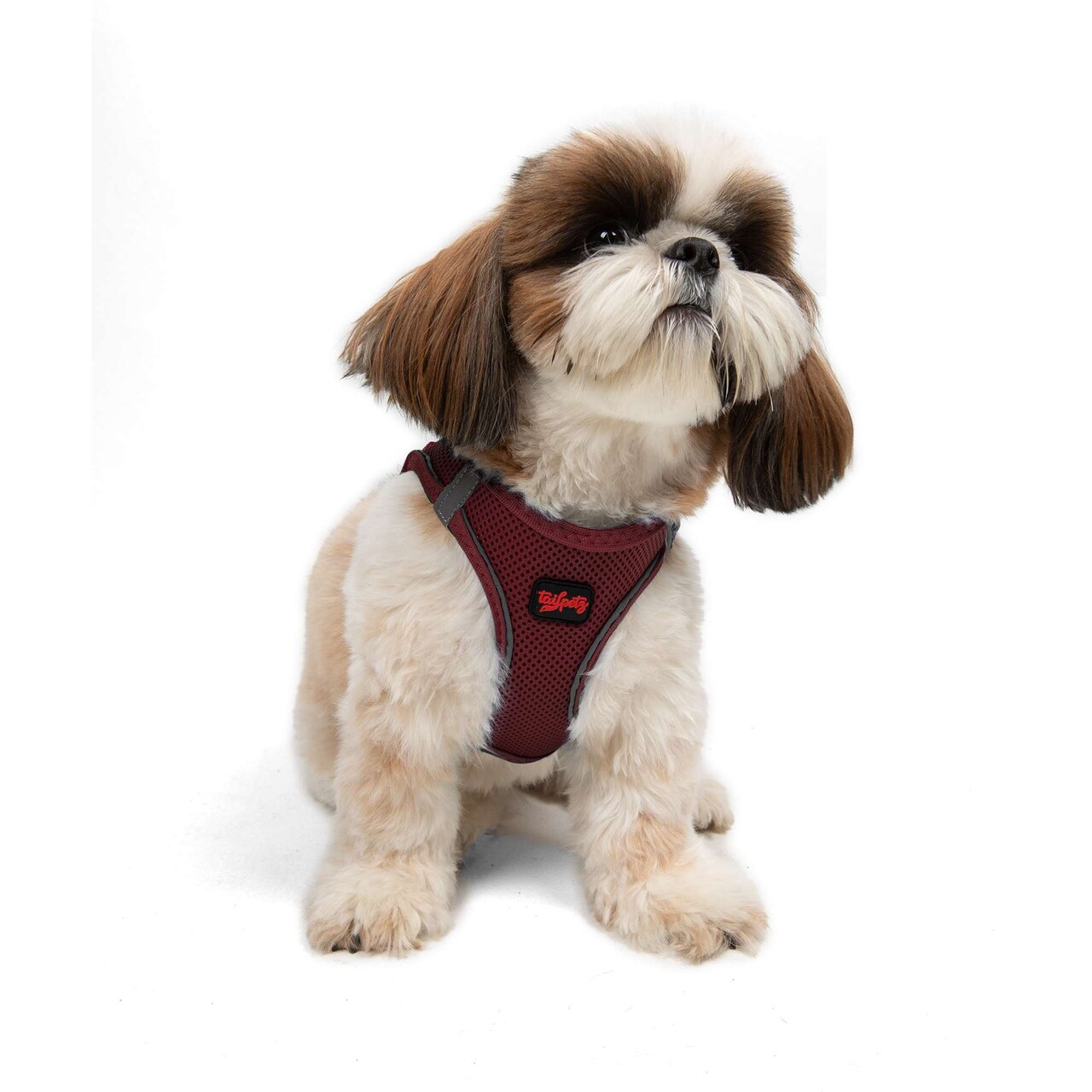 Ham pentru câini, Paws &amp; Whiskers, Air-Mesh, Poliester, Rosu claret - view 5
