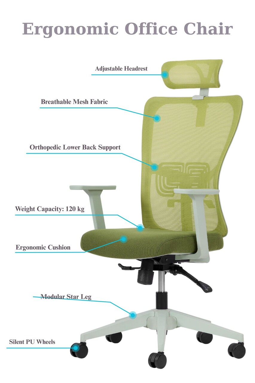 Scaun de birou, Hanah Home, Lumbar 126, 61x126x68 cm, Plastic, Verde - view 5