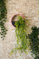 Decoratiune de perete, Beach Plum, Metal, Fier, Roz / Alb / Verde / Alb