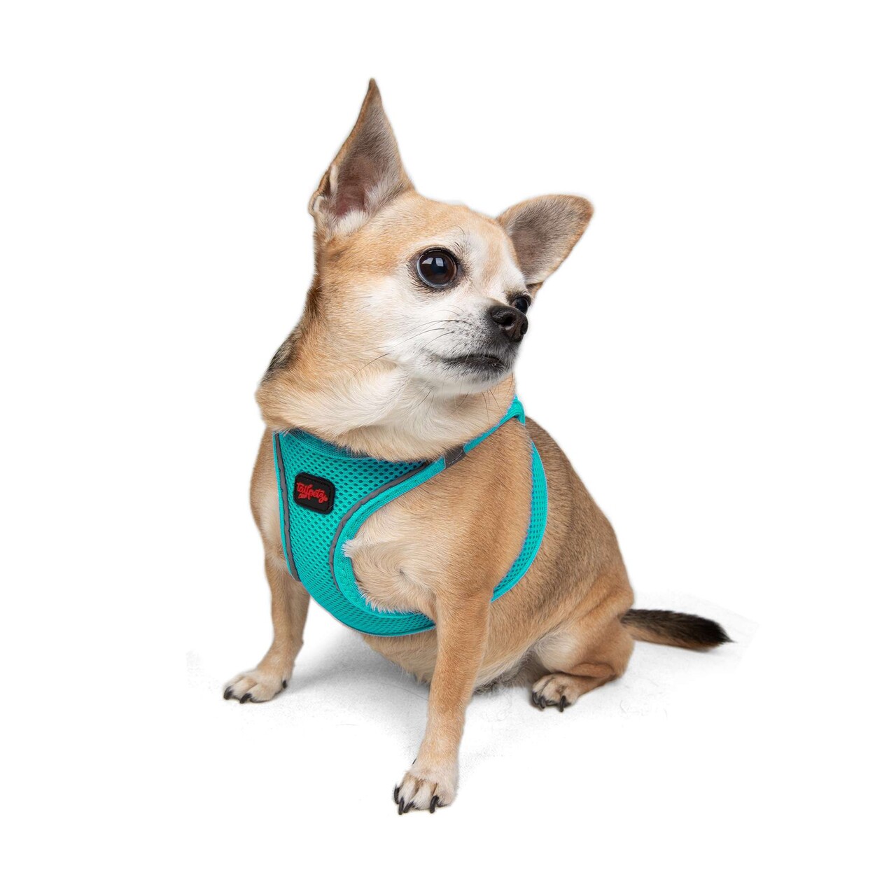 Ham pentru câini, Paws &amp; Whiskers, Air-Mesh, Poliester, Ocean - view 6
