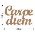 Decoratiune de perete, Carpediem 1, Metal, Dimensiune: 50 x 38 cm, Cupru