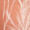 Lenjerie de pat King Size, Vanessa, Homla, 3 piese, 200x220 cm, microfibra din poliester, somon/alb