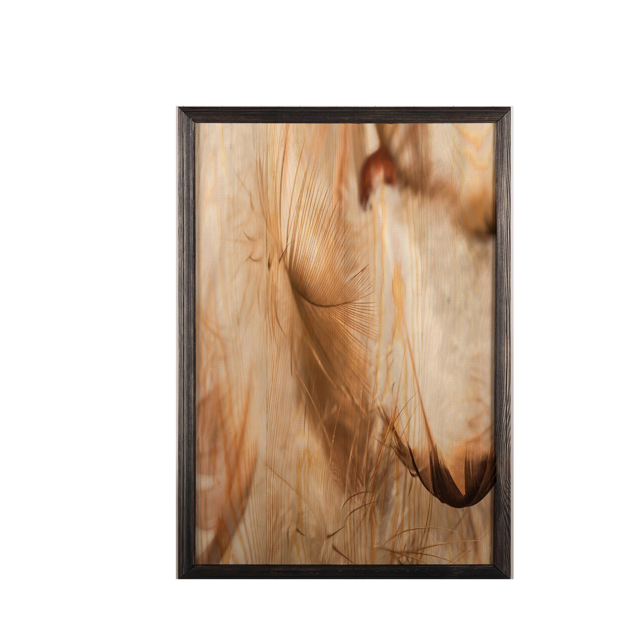 Tablou decorativ, Feather XL, Lemn, Lemn, Multicolor - 1 | YEO