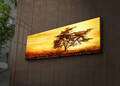 Tablou decorativ cu lumina LED, 3090İACT-27, Canvas, 30 x 90 cm, Multicolor