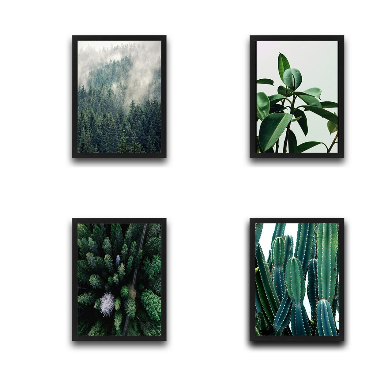 Set 4 tablouri decorative, Green Cactus Set, PAL, Hartie, Multicolor - 1 | YEO