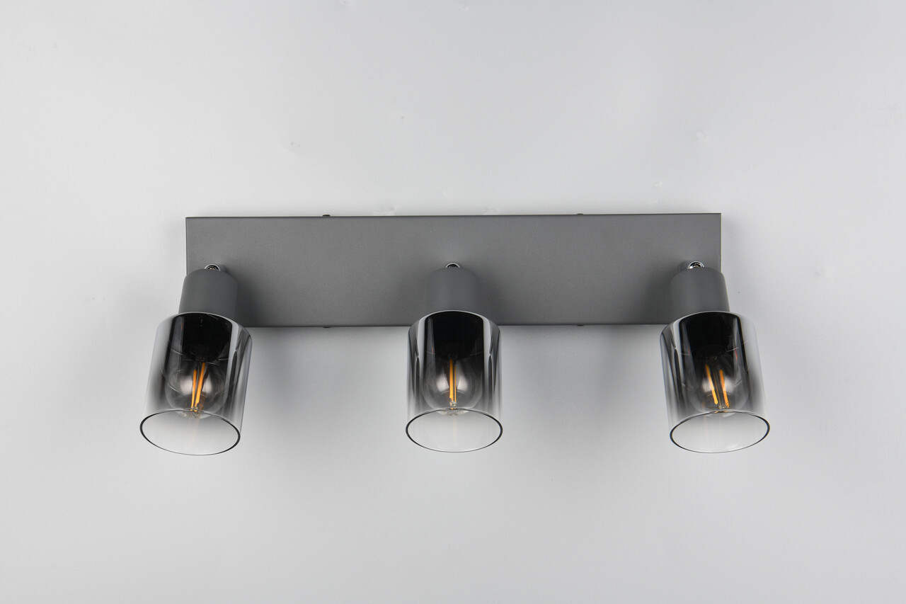 Plafoniera Cadiz, RL, 42.5x8.5x17 cm, 10W, 3x E14, metal, antracit