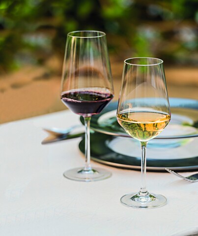 Set 6 pahare vin alb, vidivi, canova, 450 ml, sticla, transparent