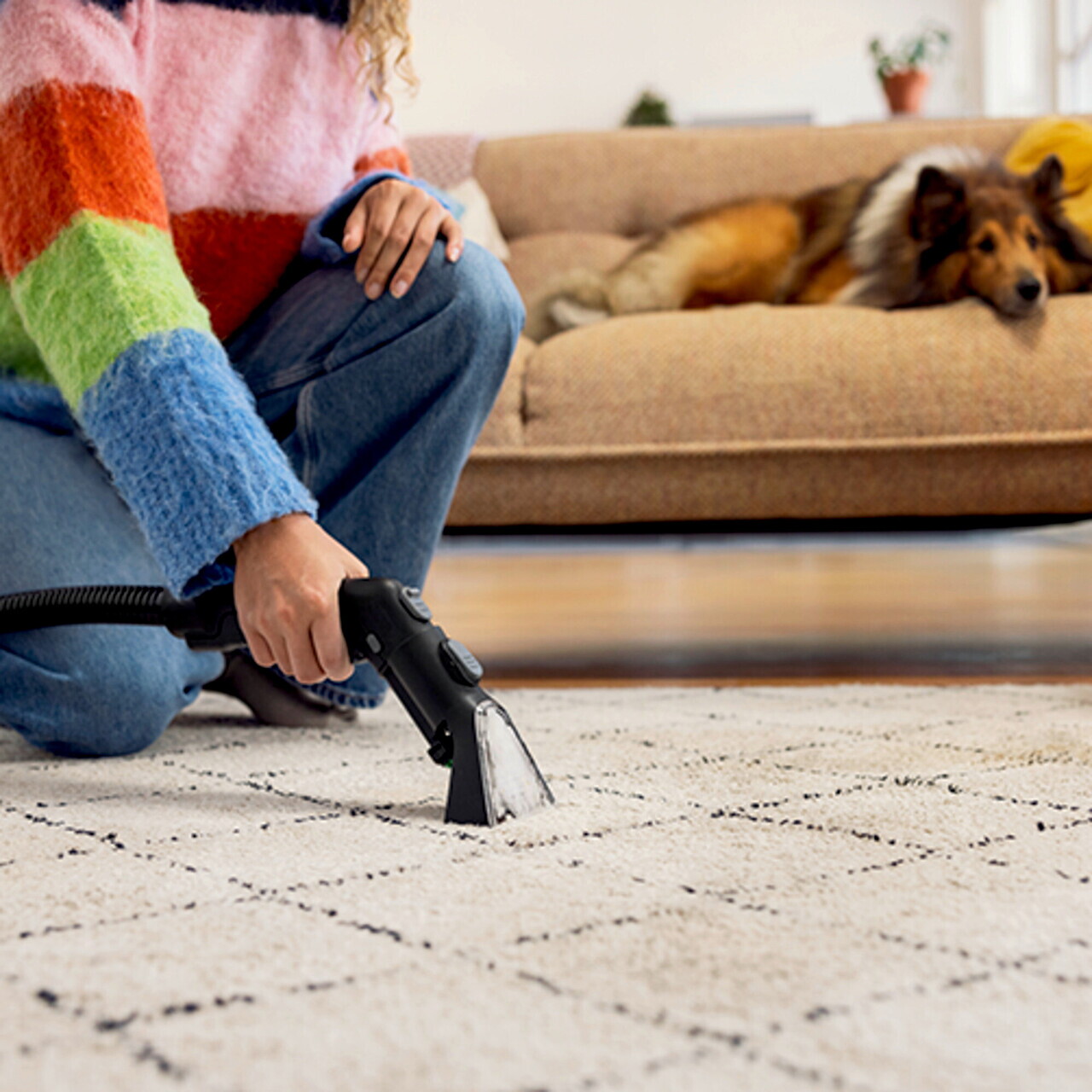Aspirator cu spalare prin injectie-extractie SE 3 Compact Home (alimentare cu cablu), Karcher, gri/alb — imaginea 6