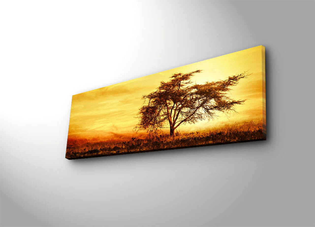 Tablou decorativ cu lumina LED, 3090İACT-27, Canvas, 30 x 90 cm, Multicolor
