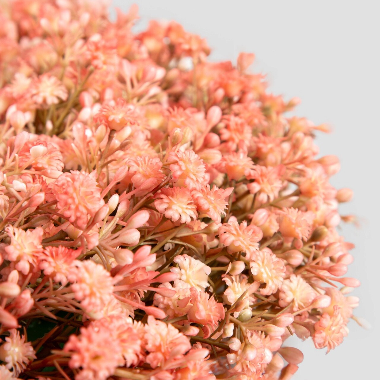 Coronita Cladel, Homla, 36 cm, plastic, coral - imagine 3