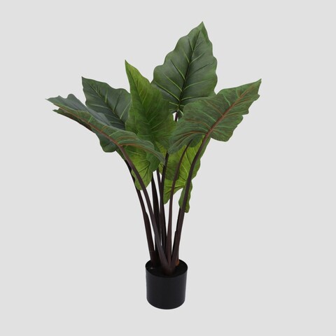 Planta artificiala Ailia, Homla, 15x12.5 cm / 80 cm, plastic, verde