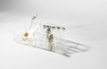 Organizator pentru cosmetice Compactor, 16 compartimente, transparent