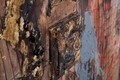 Tablou decorativ Guitar Arty, Mauro Ferretti, 90x120 cm, pictat manual, canvas/lemn de pin