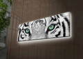 Tablou decorativ cu lumina LED, 3090DACT-19, Canvas, 30 x 90 cm, Multicolor