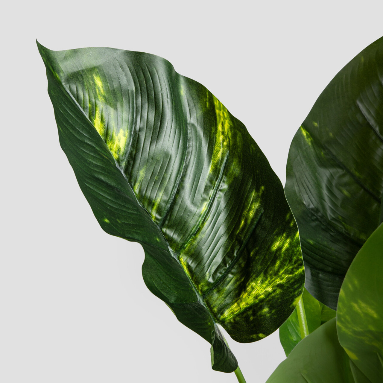 Planta artificiala B2 Difenbachia, Homla, 110 cm, plastic, verde/bej - imagine 5