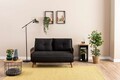 Canapea extensibilă cu 2 locuri, Futon, 859FTN2721, Metal , Negru