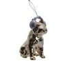 Glob Bulldog w earphones, Decoris, 6x9x10.5 cm, plastic, auriu