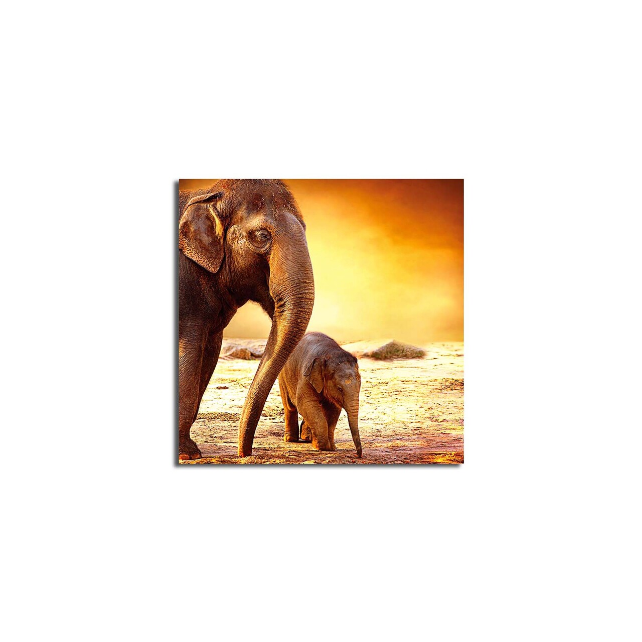 Tablou decorativ, 4545K-28, Dimensiune: 45 x 45 cm, Multicolor - view 4