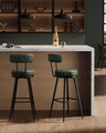 Set 2 scaune de bar, Vasagle, Ekho, 57x101 cm, otel/piele ecologica, verde forest