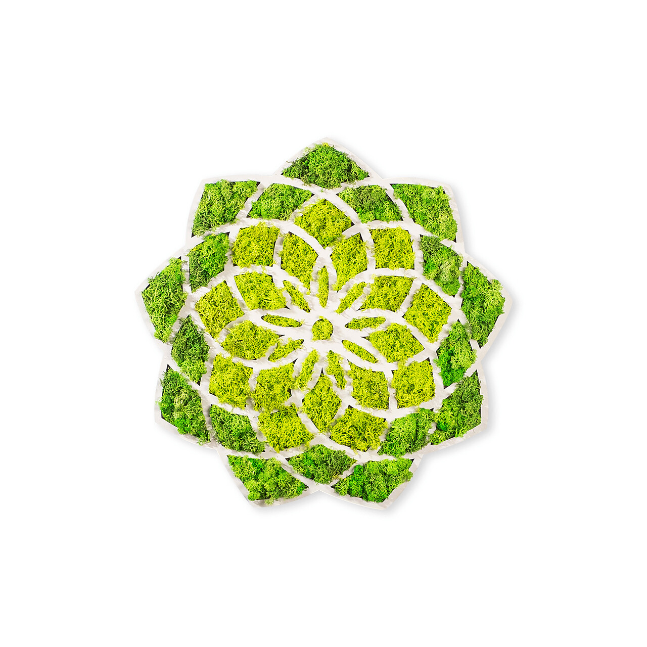 Decoratiune de perete, Daisy, Dimensiuni: 44 x 1,6 x 44 cm, Verde/Alb - view 4