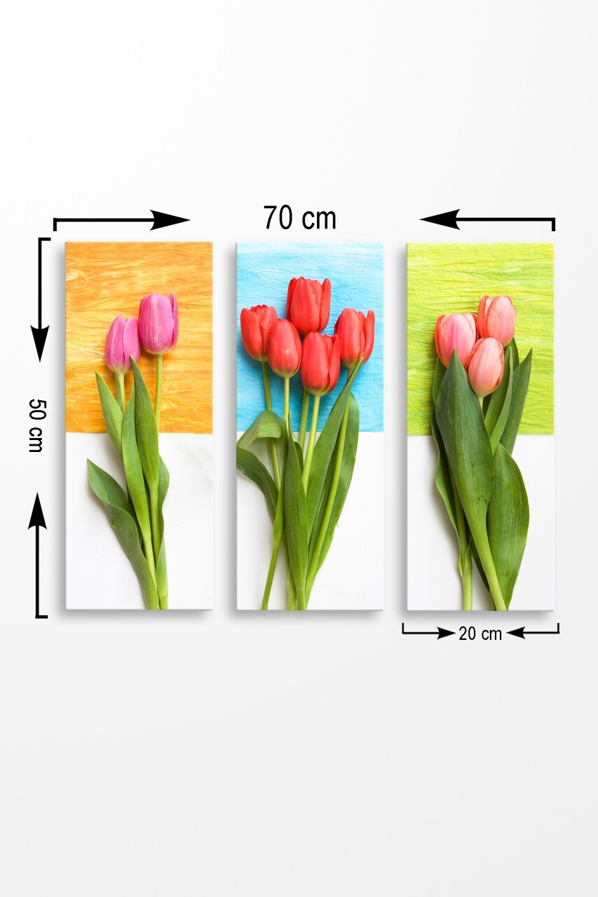 Set 3 tablouri decorative, MDF0032, 20 x 50 cm, 3 piese, Multicolor - view 2