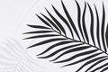 Lenjerie de pat dubla King (IT) Pipong - White, Grey, Mijolnir, 3 piese, 250x200 cm, bumbac ranforce, multicolor