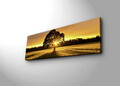 Tablou decorativ cu lumina LED, 3090DACT-68, Canvas, 30 x 90 cm, Multicolor