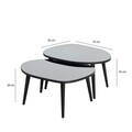 Set masute 2 piese, Neostill, Gusto Set- Black, Fumuriu, Sticla temperata , Negru / Fume
