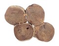 Masuta de cafea Orbital Log, Bizzotto, 90x60x40 cm, lemn de salcam/otel