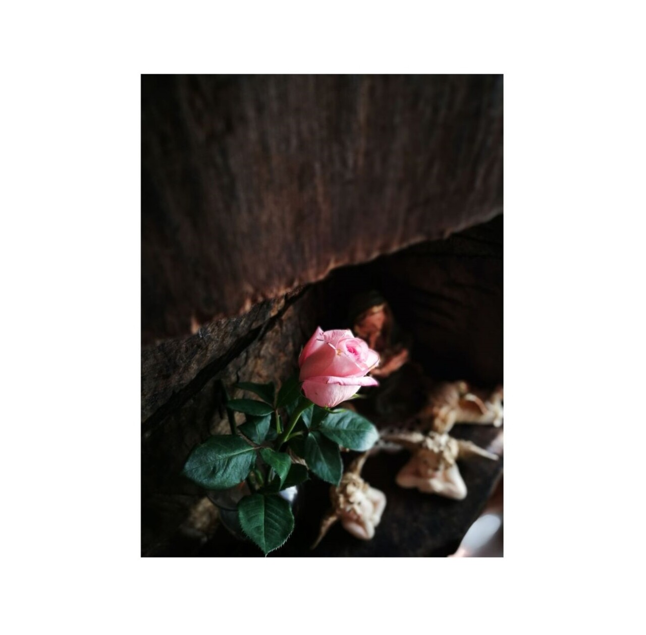 Rezerva odorizanta pentru camera, Rose Oud Wood, 250 ml, Spring Air