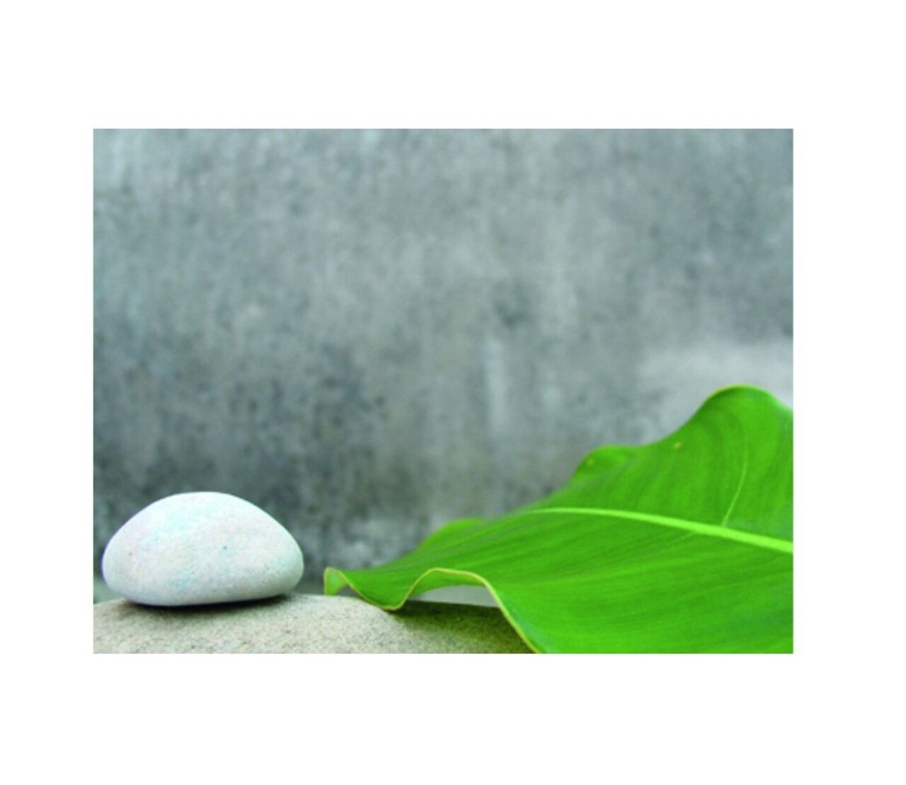 Rezerva odorizant pentru camera, Antistress, 250 ml, Spring Air - imagine 2