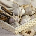 Cos pentru paine Palma, Ambition, 24x17 cm, frunze de palmier, bej