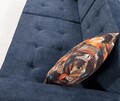 Canapea extensibila Cinar, Pandia Home, 209x80x80 cm, lemn, albastru